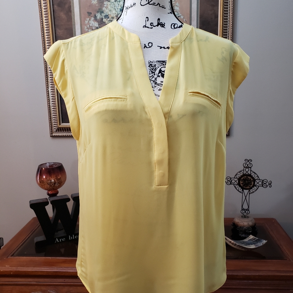The Limited blouse